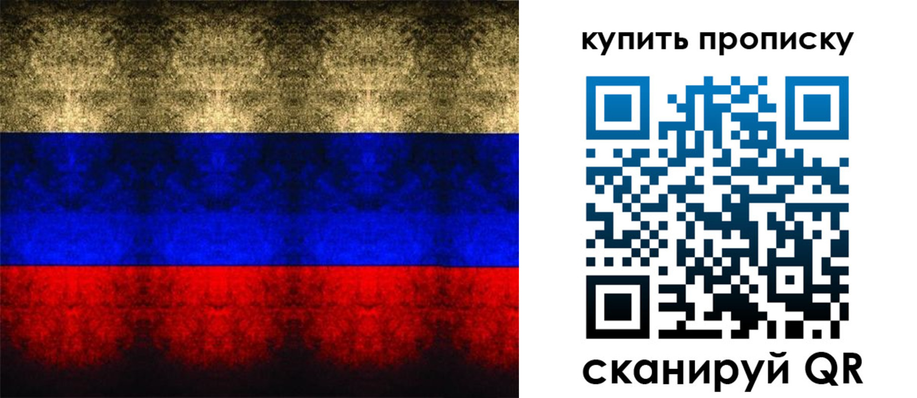 прописка в Лосино-Петровском